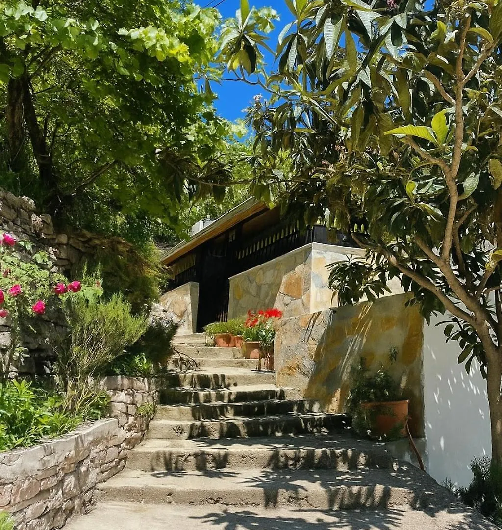 Latifi Guesthouse Gjirokaster