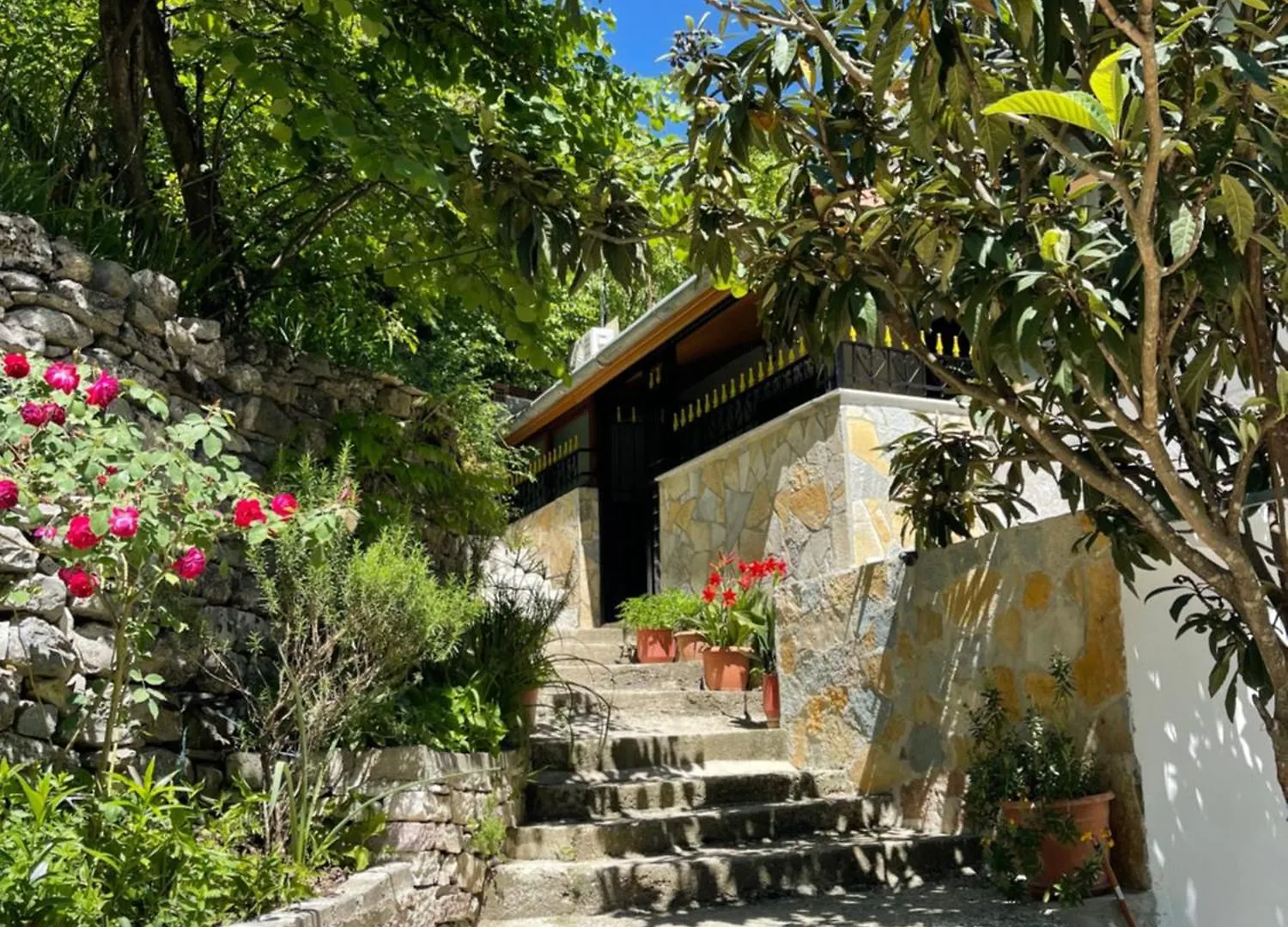 Πανσιόν Latifi Guesthouse Αργυρόκαστρο Αλβανία