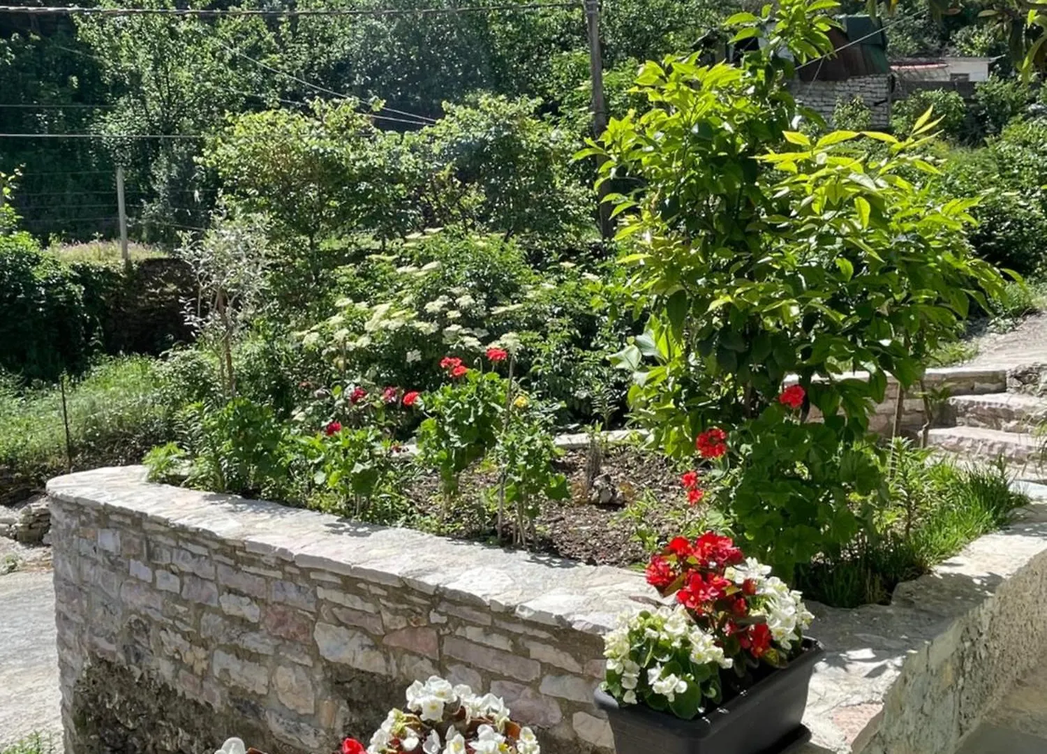 Latifi Guesthouse Αργυρόκαστρο Πανσιόν
