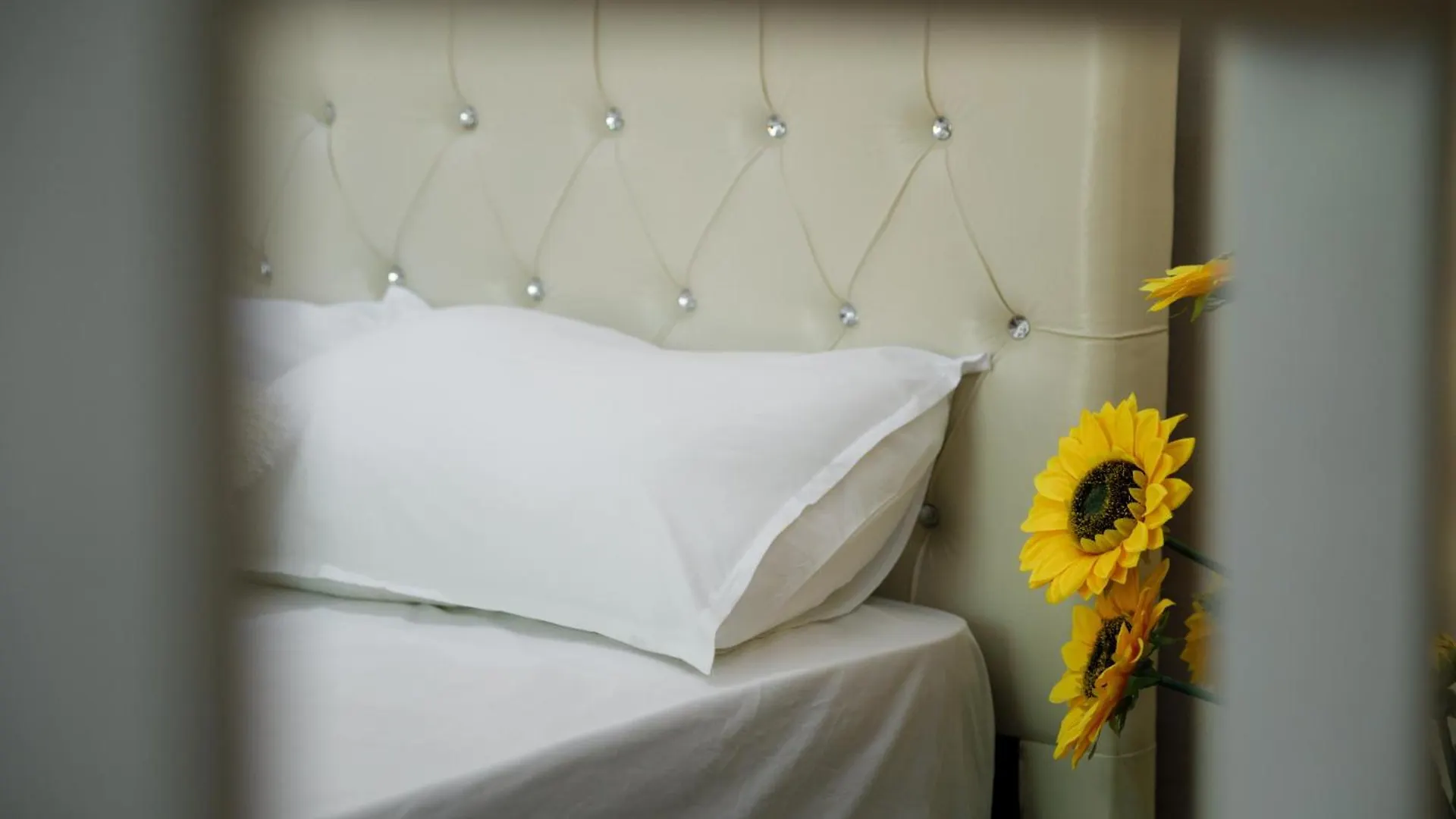 Latifi Guesthouse Αργυρόκαστρο Αλβανία